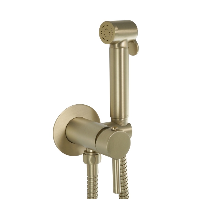 Product Cut out image of the JTP Vos Brushed Brass Single Lever Douche Set